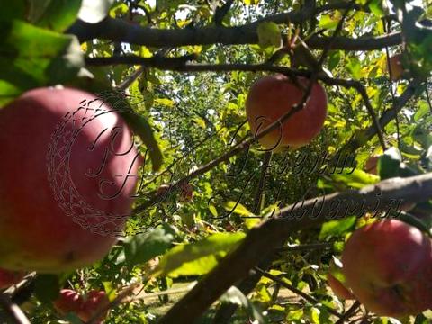 будинок за адресою Янтарна вул.