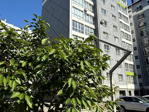 квартира за адресою Олександра Довженка вул., 33