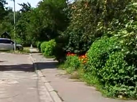 квартира за адресою Вірменська вул., 29