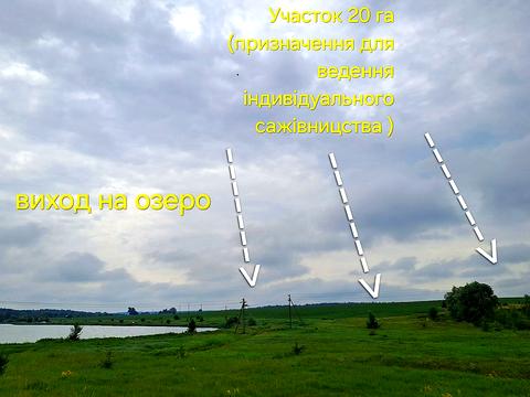 ділянка за адресою 