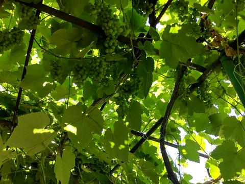 будинок за адресою Академіка Гаркавого вул. (Житомирська)