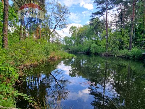 ділянка за адресою Вітряного