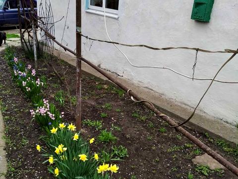 дом по адресу Центральна