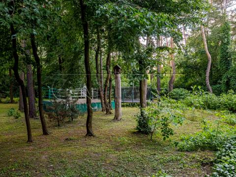 будинок за адресою Вишгород, Вишгородський