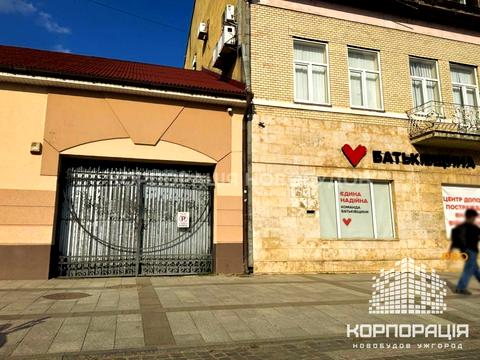 комерційна за адресою Петефі, 17