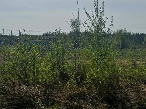 участок по адресу с. Мощун, 
