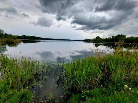 будинок за адресою Березнева вул.
