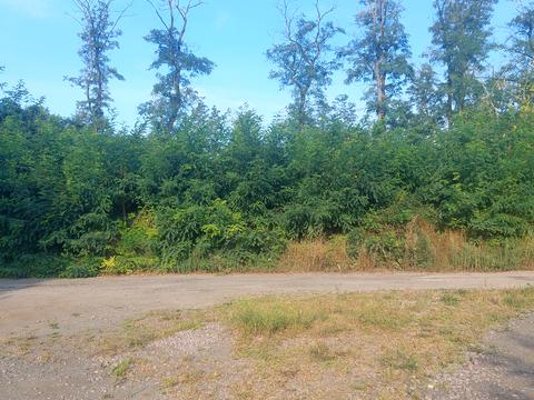 участок по адресу Подгорная ул., 28