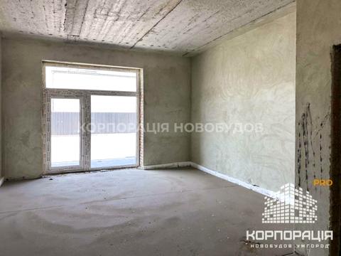 комерційна за адресою Ужгород, Капушанська вул., 170
