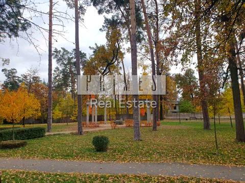 участок по адресу Пушкінська