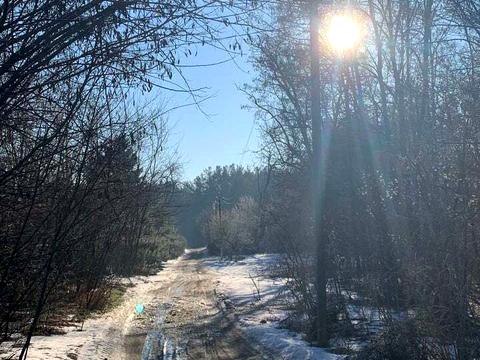 ділянка за адресою Зелена, 5