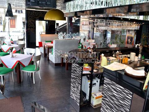 комерційна за адресою Григорія Сковороди вул. (Пушкінська), 79б