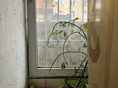 квартира за адресою Спиридонівська вул., 15