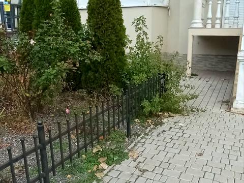 коммерческая по адресу Академика Сахарова ул., 24