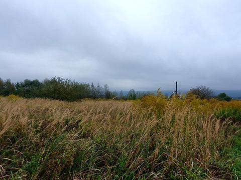 ділянка за адресою Під греблею