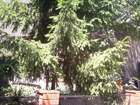 будинок за адресою Дмитра Іванова вул.