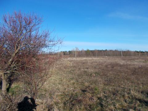 участок по адресу с. Киенка, Архітектурна, 1