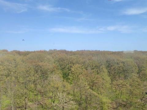 квартира за адресою Лісогринівецька вул., 16/1А