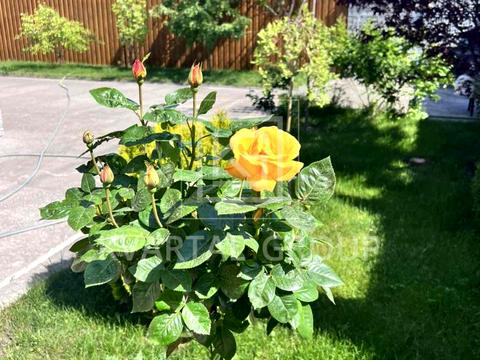 дом по адресу Авіаторів