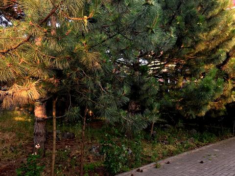 будинок за адресою Провулок Дослідний