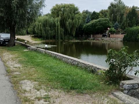 будинок за адресою Лісова, 22