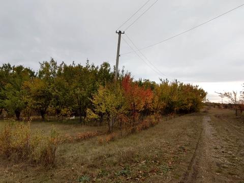 ділянка за адресою Архітектора Достоєвського вул.