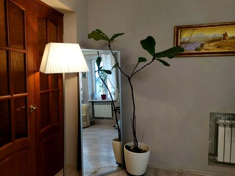 квартира за адресою Чернишевська вул., 95