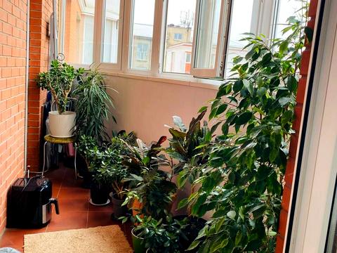 квартира за адресою Базарна вул., 5/2
