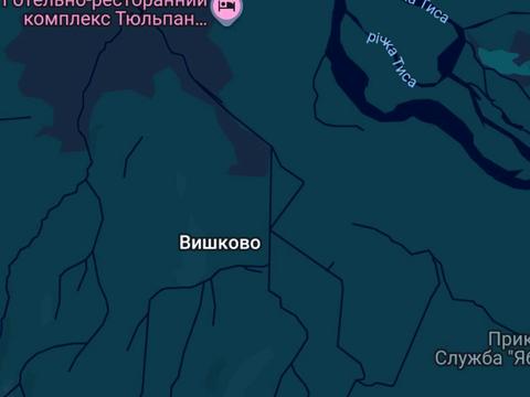 ділянка за адресою урочище Боркутвивдь