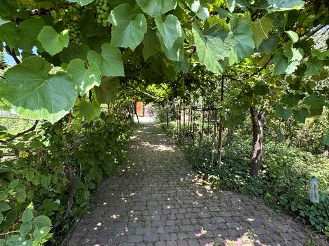 дом по адресу Ивано-Франковск, Романа Левицкого ул.