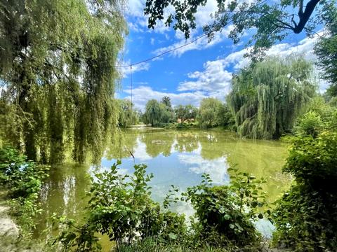 дом по адресу пгт. Ворзель, Лісова ул., 44