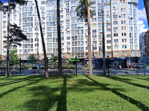 комерційна за адресою Університетська вул., 2-З