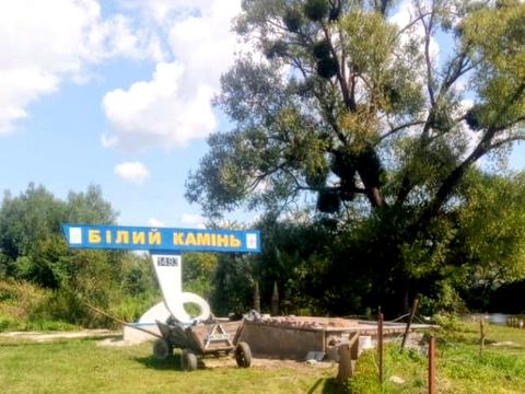 участок по адресу Шашкевича