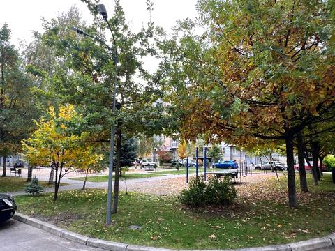 квартира по адресу Метрологическая ул., 109