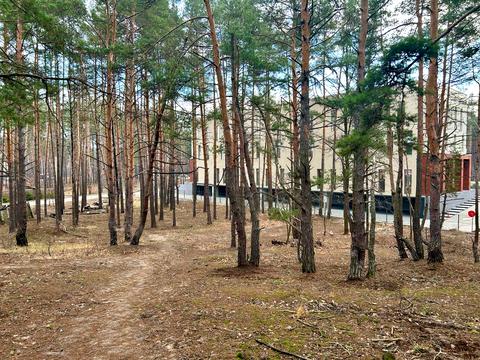 участок по адресу Кільцева