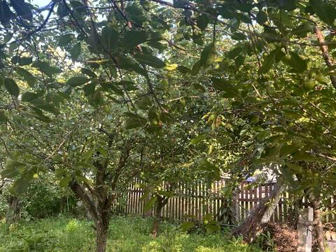 будинок за адресою смт. Шрамківка, Незалежності, 1