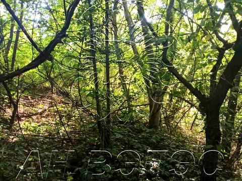 ділянка за адресою Ольги Кобилянської пров., 18