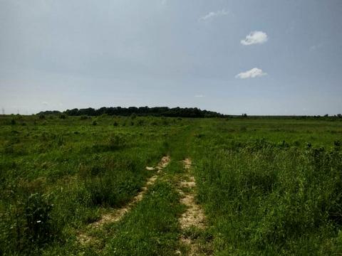 участок по адресу с. Мосты, франка