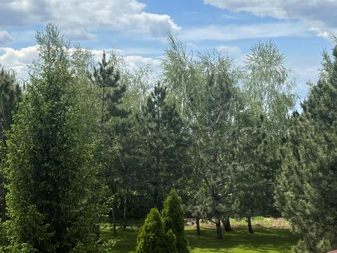 будинок за адресою с. Вільне, Меліоративна вул., 26
