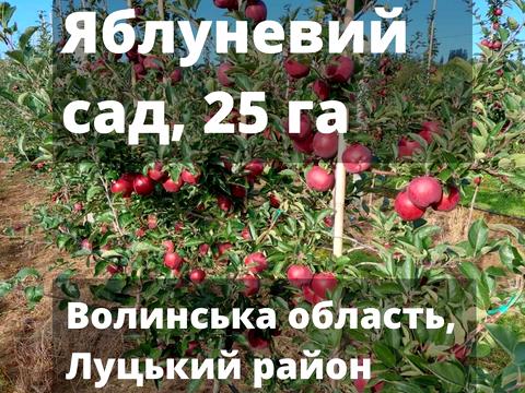 ділянка за адресою 