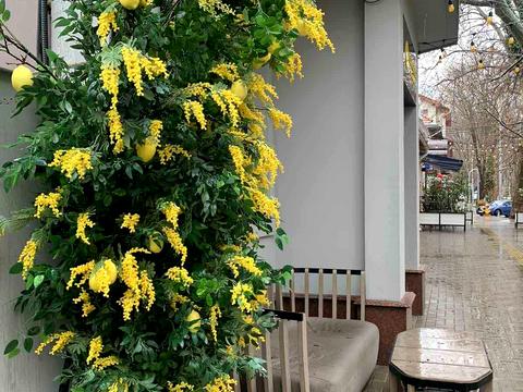 квартира за адресою Одеса, Анатолія Бачинського вул., 78/3