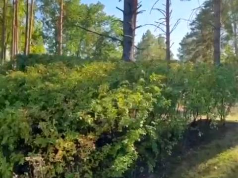 участок по адресу Сагайдачного, 82г