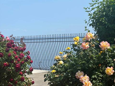 будинок за адресою Берегова вул.