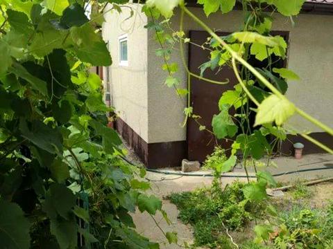 дом по адресу Амосова