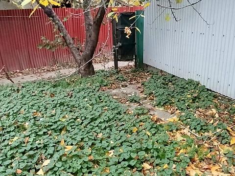 комерційна за адресою Свободи просп., 1