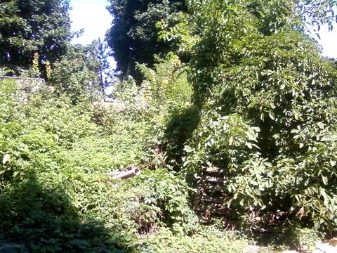 будинок за адресою Мускатна вул. (Зої Космодем'янської), 5