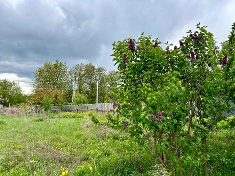 ділянка за адресою Буча, Чорних Запорожців вул.
