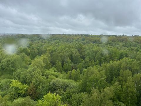квартира за адресою Івана Величковського вул., 70б