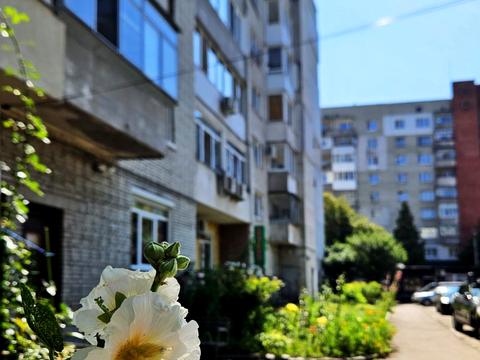 квартира за адресою Теофіла Окуневського вул., 3