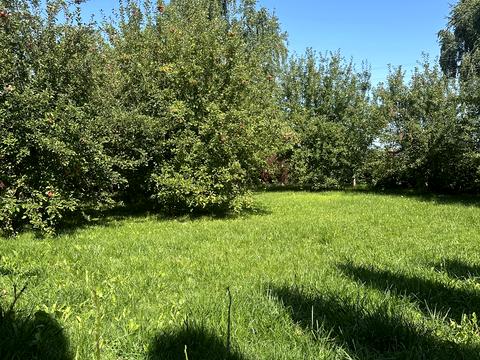 дом по адресу Козацька, 9